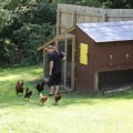 John at the Chicken Coop