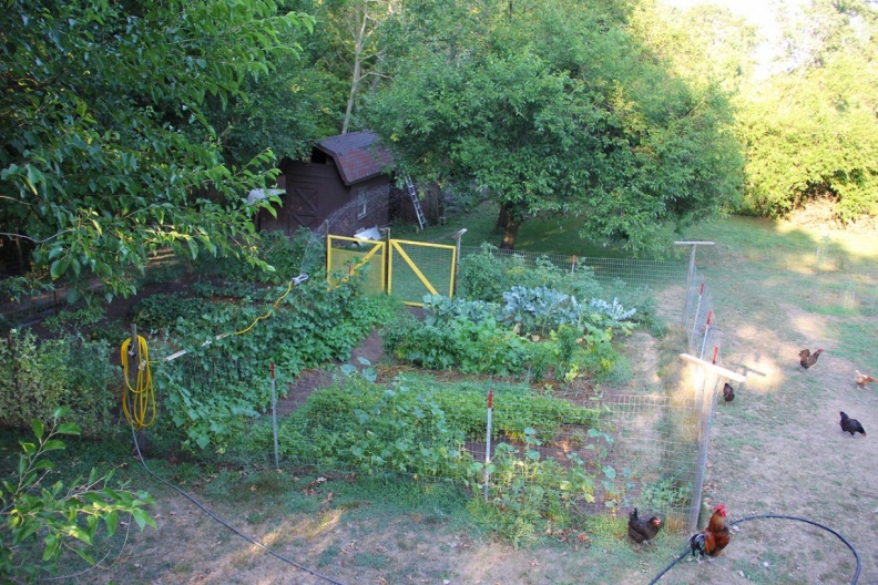 Vegetable Garden and Watering System.JPG