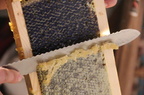 Decapping-Honey-Frames