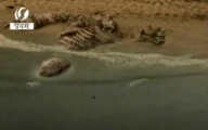 Giant Creature Being Uncovered In India