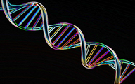 Awaken Your DNA part 04 of 12