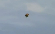 Canada 2008- One of the Best UFO Vids Ever
