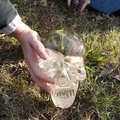 ancient-crystal-skull