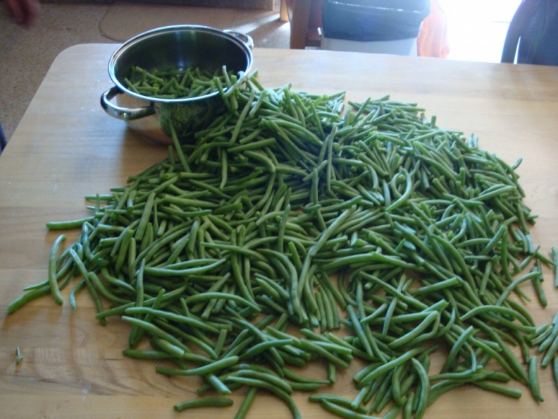 Green Beans.JPG