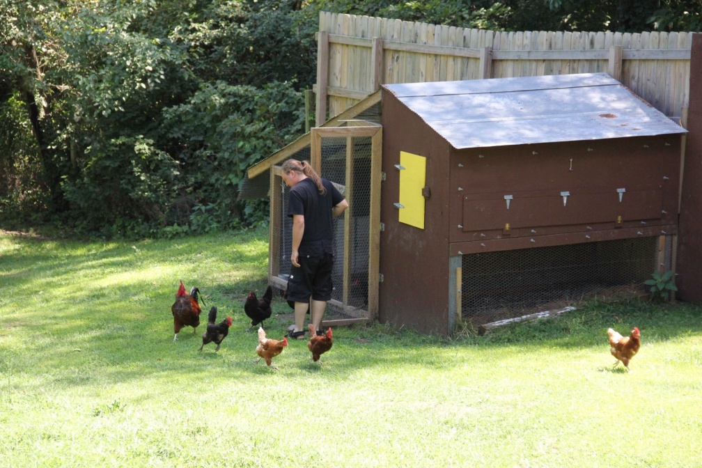 John at the Chicken Coop
