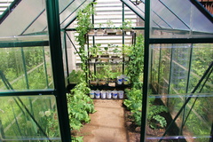 our green house