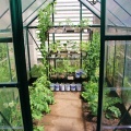 our green house
