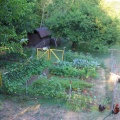 Vegetable Garden and Watering System
