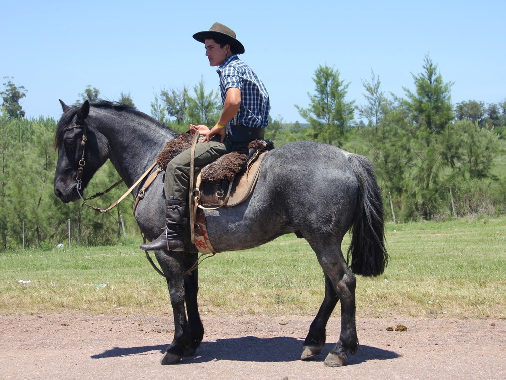 Uruguayan Cowboy