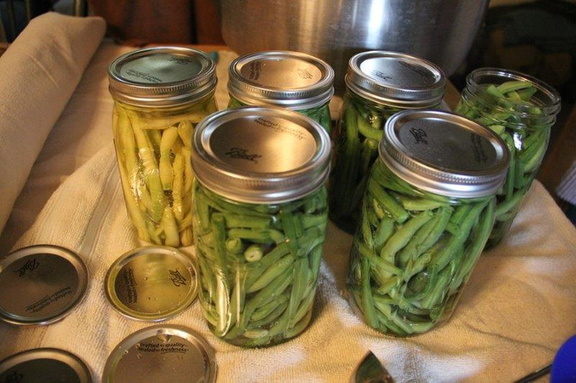 Canned-Beans-2012