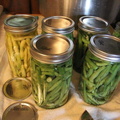 Canned-Beans-2012
