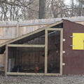 Chicken-Coop-Finished-001