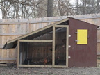 Chicken-Coop-Finished-001