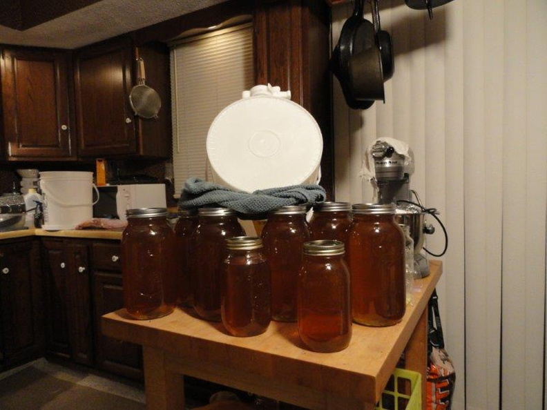 Filtering-Honey-Harvest-2011-004.jpg