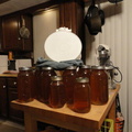 Filtering-Honey-Harvest-2011-004