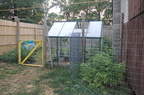 GreenHouse-Organic-Raspberry-2012