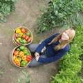 Organic-Bell-Pepper-Harvest-2011-001