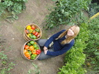 Organic-Bell-Pepper-Harvest-2011-001