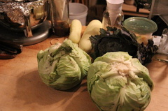 Organic-Cabbage