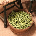 Orgqanic-Green-Bean-Harvest