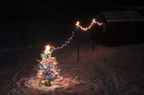 Our-Fat-Albert-Christmas-Tree-001