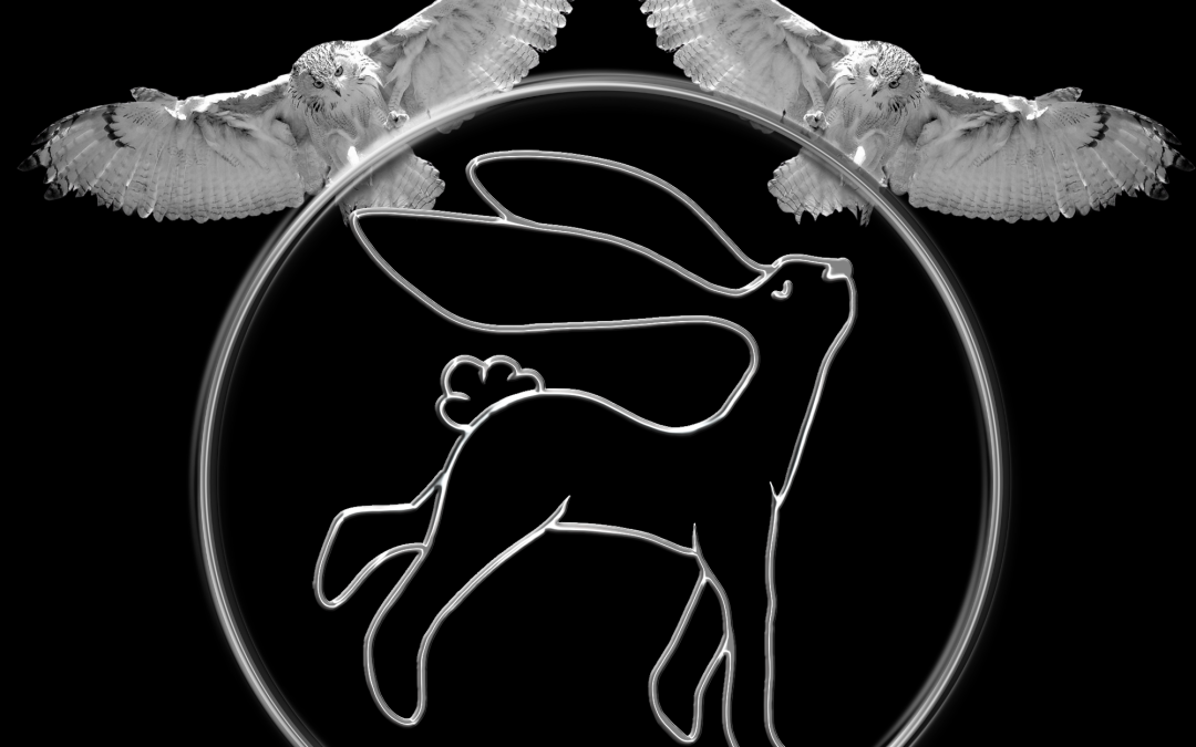 Awakenvideo – UNCONCEALED – Ep. 11