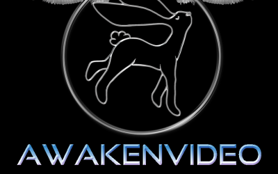 Awakenvideo – The Stages of Spiritual Awakening