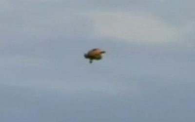 Canada 2008- One of the Best UFO Vids Ever
