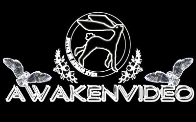 The Best of Awakenvideo Compilation