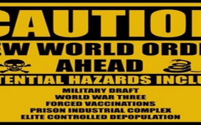 NWO In a “Nut” Shell