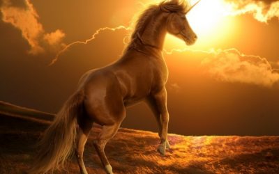 Near Death Experience ~ Consciousness Survives the Body
